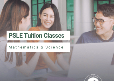 PSLE Tuition Classes